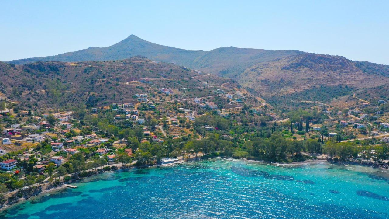 Villa Harmonia Aegina ภายนอก รูปภาพ
